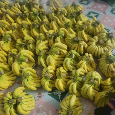 Chuối sạch HTX Nông lâm nghiệp xanh