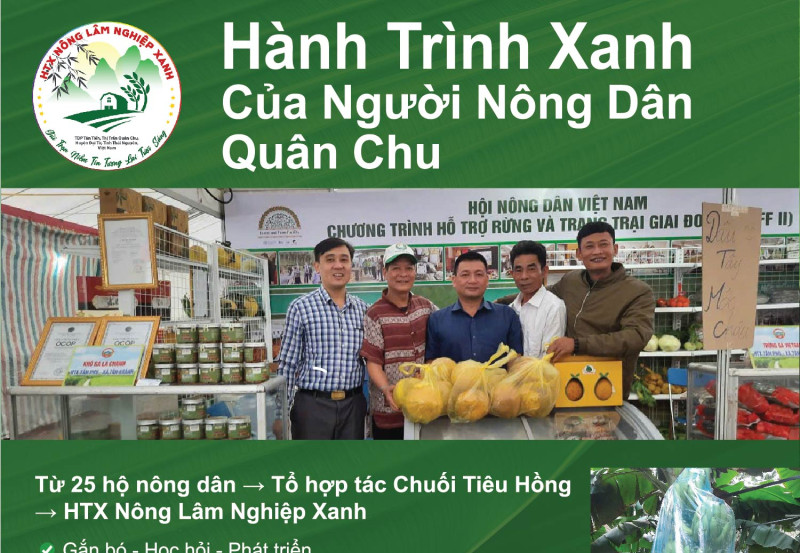 Câu chuyện địa phương về HTX Nông Lâm Nghiệp Xanh