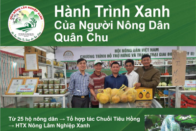 Câu chuyện địa phương về HTX Nông Lâm Nghiệp Xanh