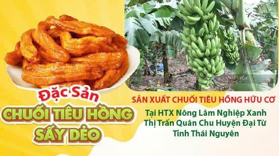 Chuối tiêu hồng sấy dẻo