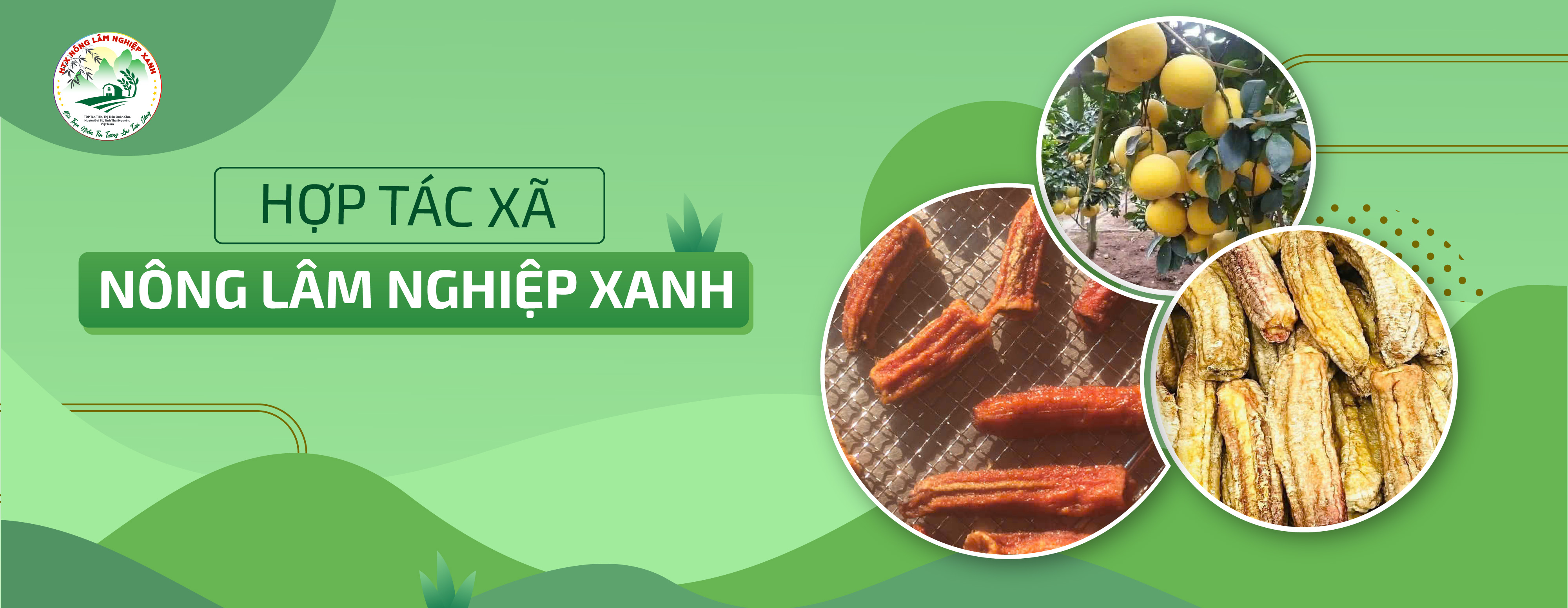 HTX Nông Lâm nghiệp xanh