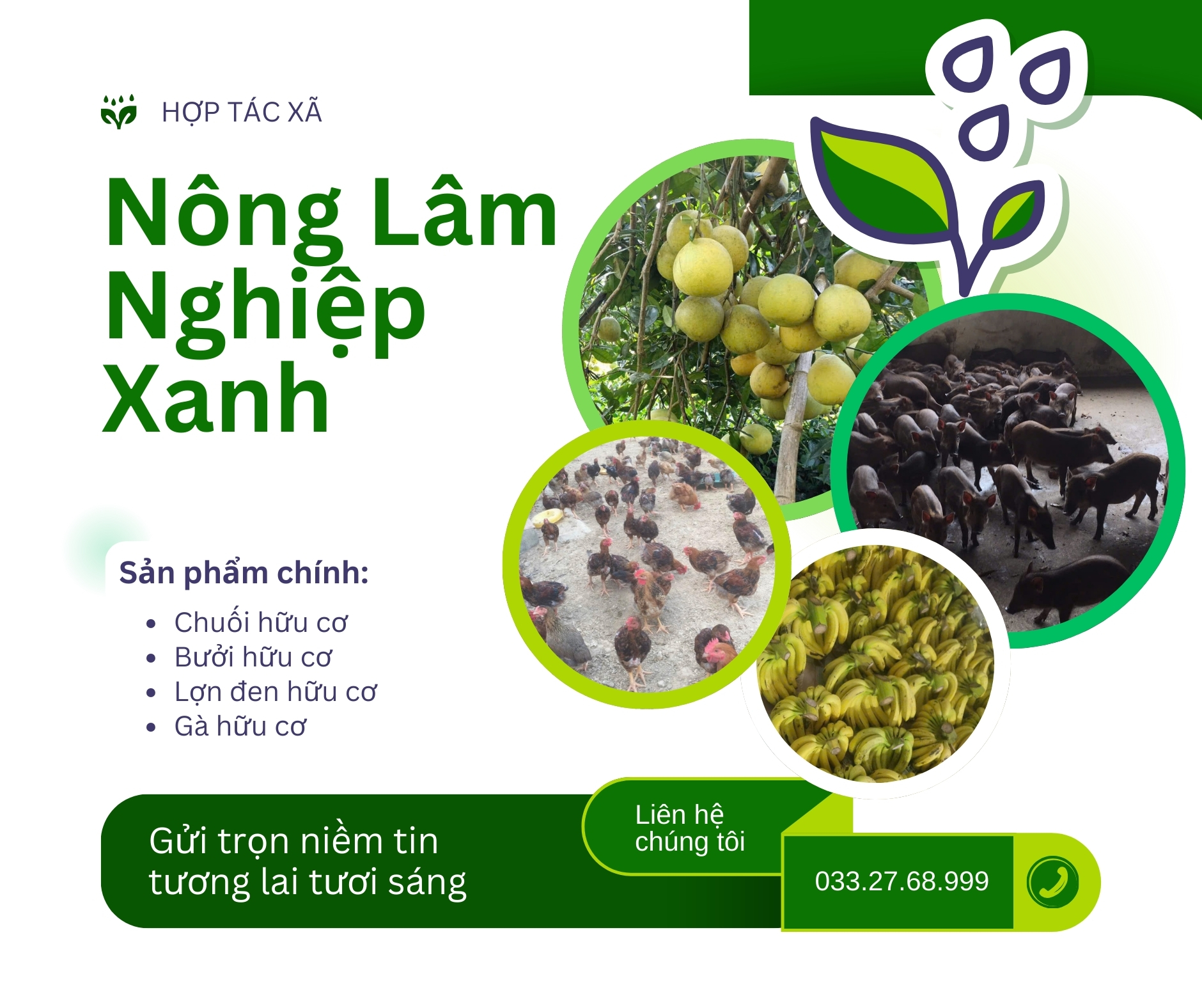 HTX Nông Lâm nghiệp xanh