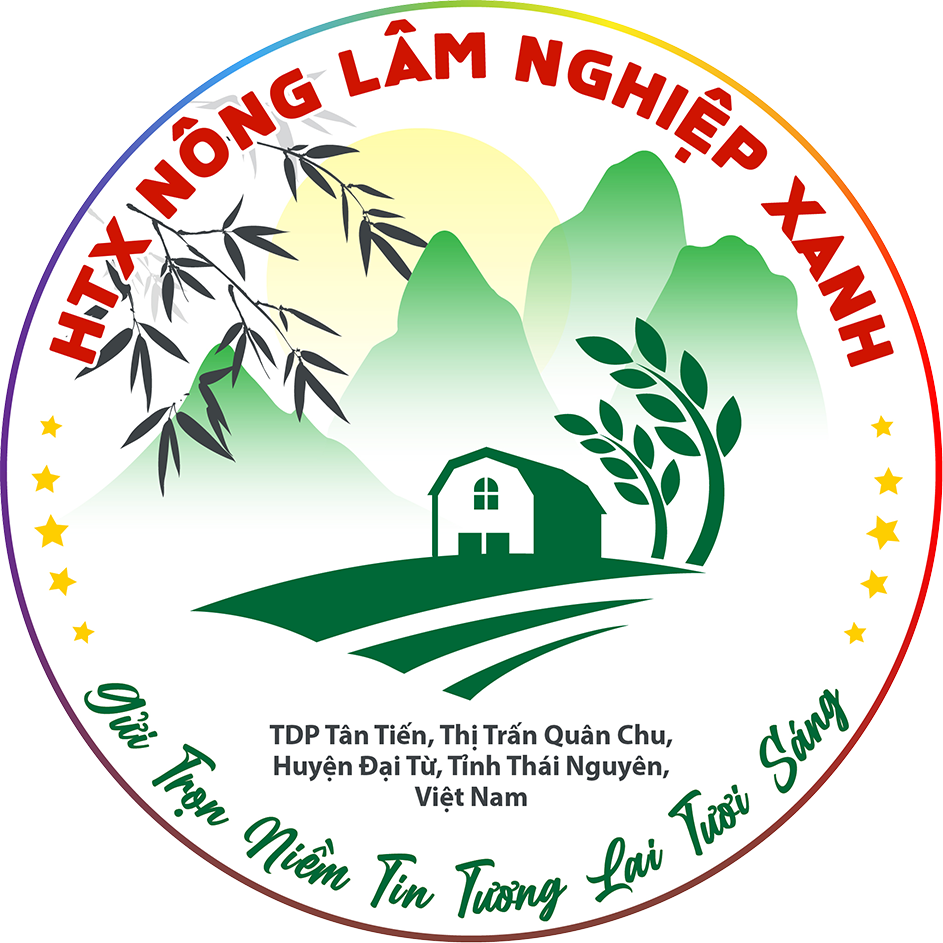 Các mạng lưới liên kết